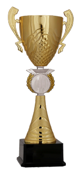 Kupa Altın 07 (37 cm)