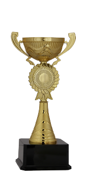 Kupa Altın 04  (36 cm)