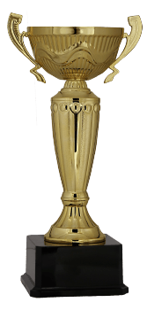 Kupa Altın 03  (28 cm)